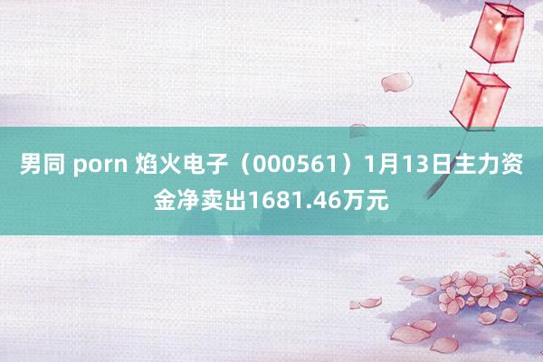 男同 porn 焰火电子（000561）1月13日主力资金净卖出1681.46万元