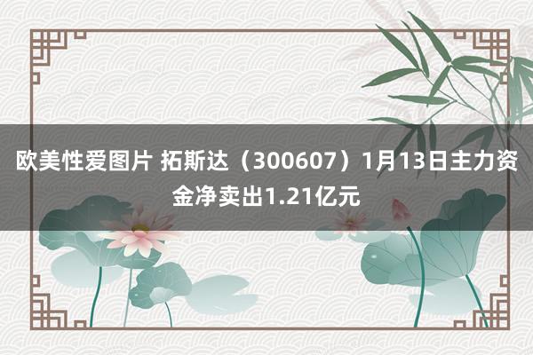 欧美性爱图片 拓斯达（300607）1月13日主力资金净卖出1.21亿元