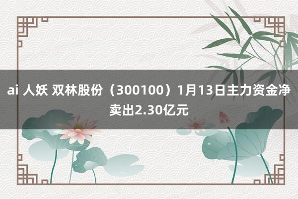 ai 人妖 双林股份（300100）1月13日主力资金净卖出2.30亿元
