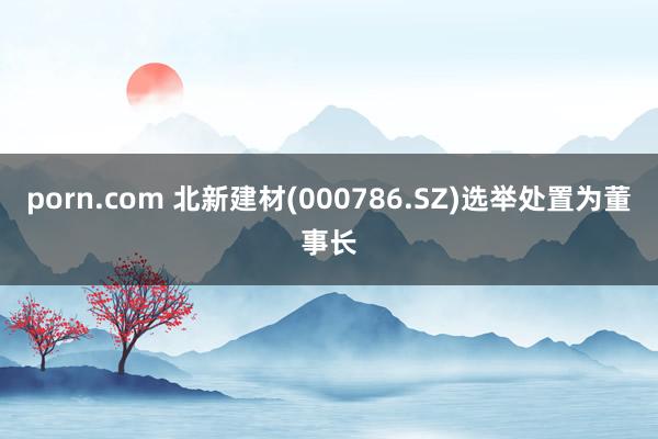 porn.com 北新建材(000786.SZ)选举处置为董事长