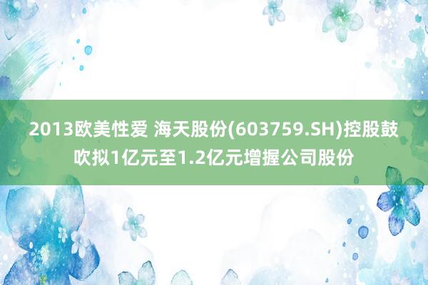 2013欧美性爱 海天股份(603759.SH)控股鼓吹拟1亿元至1.2亿元增握公司股份