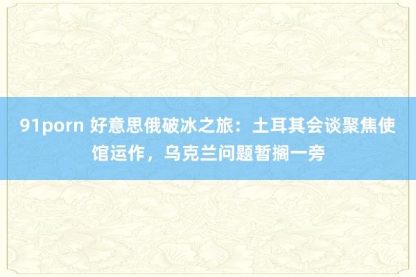 91porn 好意思俄破冰之旅：土耳其会谈聚焦使馆运作，乌克兰问题暂搁一旁