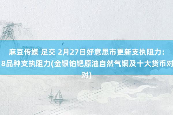麻豆传媒 足交 2月27日好意思市更新支执阻力：18品种支执阻力(金银铂钯原油自然气铜及十大货币对)
