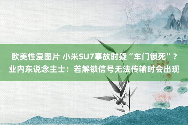 欧美性爱图片 小米SU7事故时疑“车门锁死”？业内东说念主士：若解锁信号无法传输时会出现