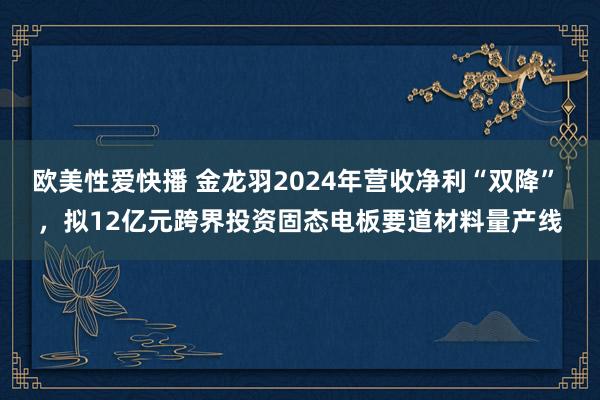 欧美性爱快播 金龙羽2024年营收净利“双降” ，拟12亿元跨界投资固态电板要道材料量产线