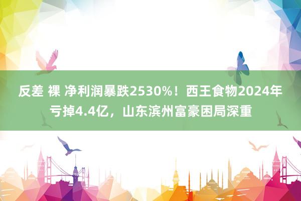 反差 裸 净利润暴跌2530%！西王食物2024年亏掉4.4亿，山东滨州富豪困局深重