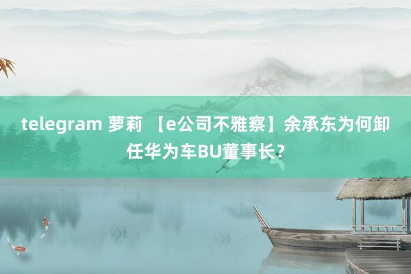 telegram 萝莉 【e公司不雅察】余承东为何卸任华为车BU董事长？