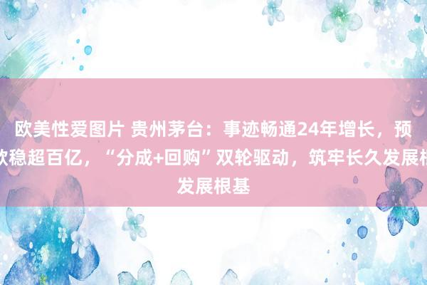 欧美性爱图片 贵州茅台：事迹畅通24年增长，预收款稳超百亿，“分成+回购”双轮驱动，筑牢长久发展根基