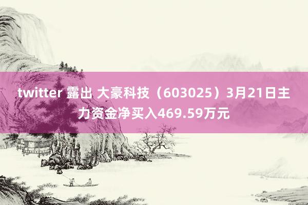 twitter 露出 大豪科技（603025）3月21日主力资金净买入469.59万元