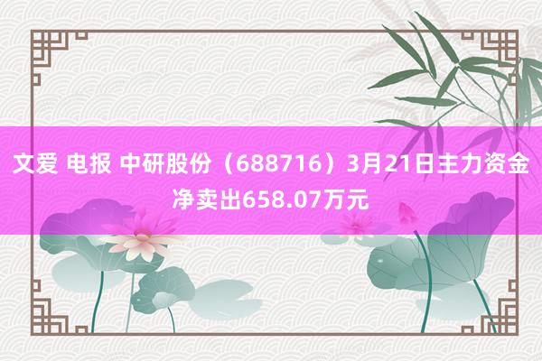 文爱 电报 中研股份（688716）3月21日主力资金净卖出658.07万元