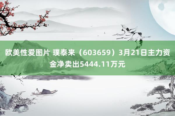欧美性爱图片 璞泰来（603659）3月21日主力资金净卖出5444.11万元