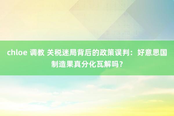 chloe 调教 关税迷局背后的政策误判：好意思国制造果真分化瓦解吗？