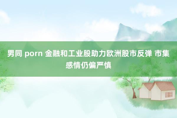 男同 porn 金融和工业股助力欧洲股市反弹 市集感情仍偏严慎