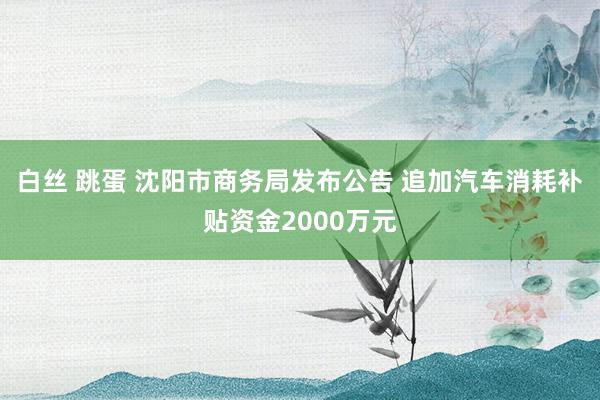 白丝 跳蛋 沈阳市商务局发布公告 追加汽车消耗补贴资金2000万元