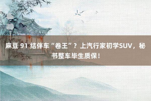 麻豆 91 结伴车“卷王”？上汽行家初学SUV，秘书整车毕生质保！