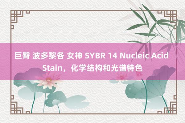 巨臀 波多黎各 女神 SYBR 14 Nucleic Acid Stain，化学结构和光谱特色