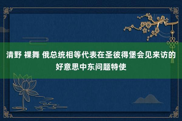 清野 裸舞 俄总统相等代表在圣彼得堡会见来访的好意思中东问题特使