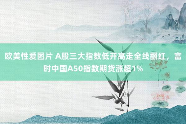 欧美性爱图片 A股三大指数低开高走全线翻红，富时中国A50指数期货涨超1%