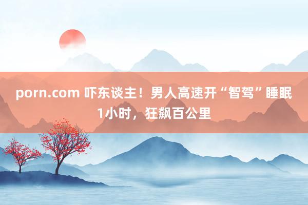 porn.com 吓东谈主！男人高速开“智驾”睡眠1小时，狂飙百公里