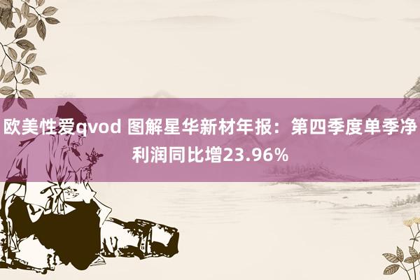 欧美性爱qvod 图解星华新材年报：第四季度单季净利润同比增23.96%