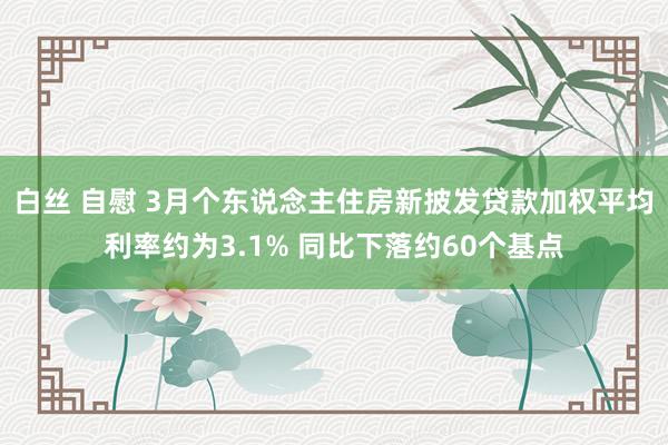 白丝 自慰 3月个东说念主住房新披发贷款加权平均利率约为3.1% 同比下落约60个基点