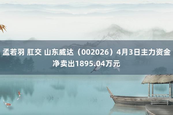 孟若羽 肛交 山东威达（002026）4月3日主力资金净卖出1895.04万元