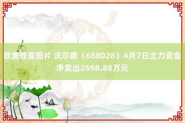 欧美性爱图片 沃尔德（688028）4月7日主力资金净卖出2698.88万元