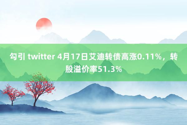 勾引 twitter 4月17日艾迪转债高涨0.11%，转股溢价率51.3%