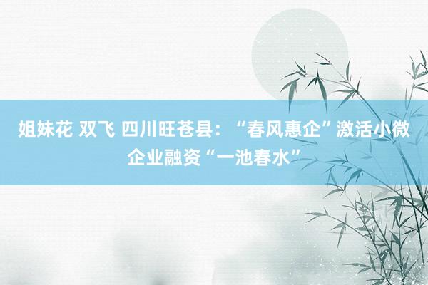 姐妹花 双飞 四川旺苍县：“春风惠企”激活小微企业融资“一池春水”