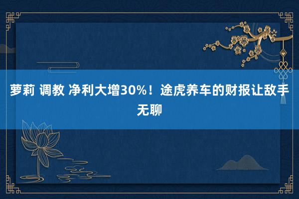 萝莉 调教 净利大增30%！途虎养车的财报让敌手无聊