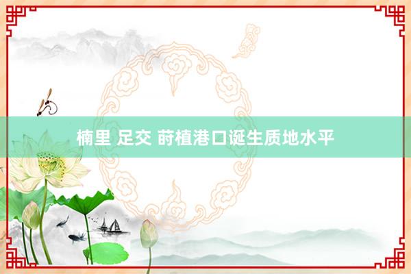 楠里 足交 莳植港口诞生质地水平