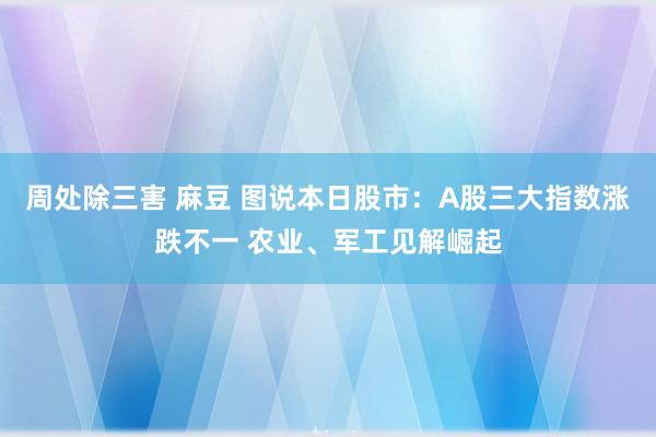 周处除三害 麻豆 图说本日股市：A股三大指数涨跌不一 农业、军工见解崛起