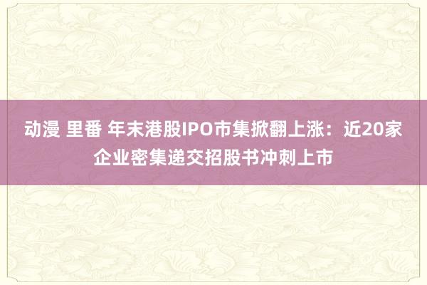 动漫 里番 年末港股IPO市集掀翻上涨：近20家企业密集递交招股书冲刺上市