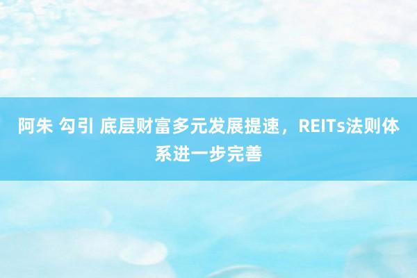 阿朱 勾引 底层财富多元发展提速，REITs法则体系进一步完善