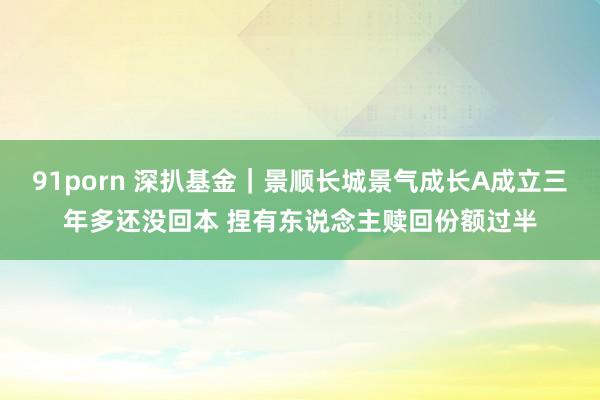 91porn 深扒基金｜景顺长城景气成长A成立三年多还没回本 捏有东说念主赎回份额过半