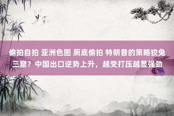 偷拍自拍 亚洲色图 厕底偷拍 特朗普的策略狡兔三窟？中国出口逆势上升，越受打压越显强劲
