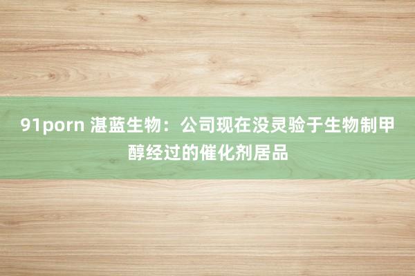 91porn 湛蓝生物：公司现在没灵验于生物制甲醇经过的催化剂居品
