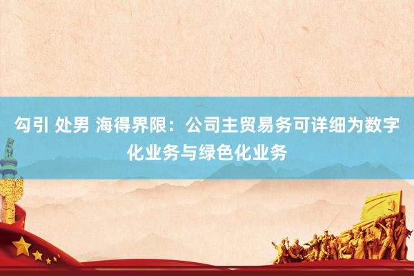 勾引 处男 海得界限：公司主贸易务可详细为数字化业务与绿色化业务