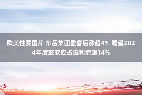 欧美性爱图片 东岳集团盈喜后涨超4% 瞻望2024年度鼓吹应占溢利增超14%