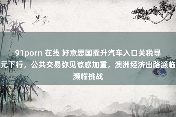 91porn 在线 好意思国擢升汽车入口关税导致澳元下行，公共交易弥见谅感加重，澳洲经济出路濒临挑战