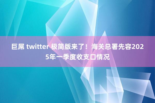 巨屌 twitter 极简版来了！海关总署先容2025年一季度收支口情况
